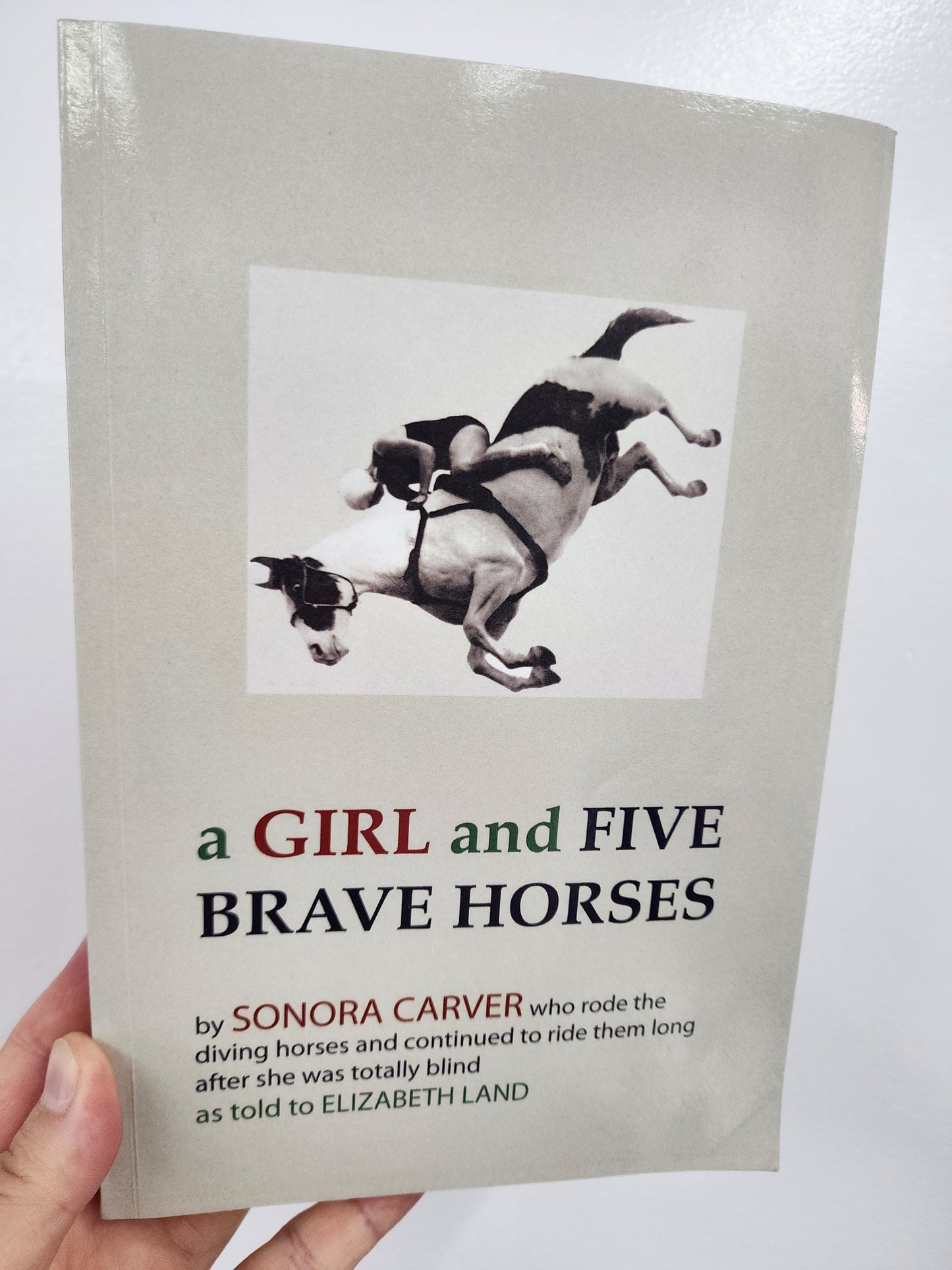 BOOK: A Girl and Five Brave Horses by Sonora Carver