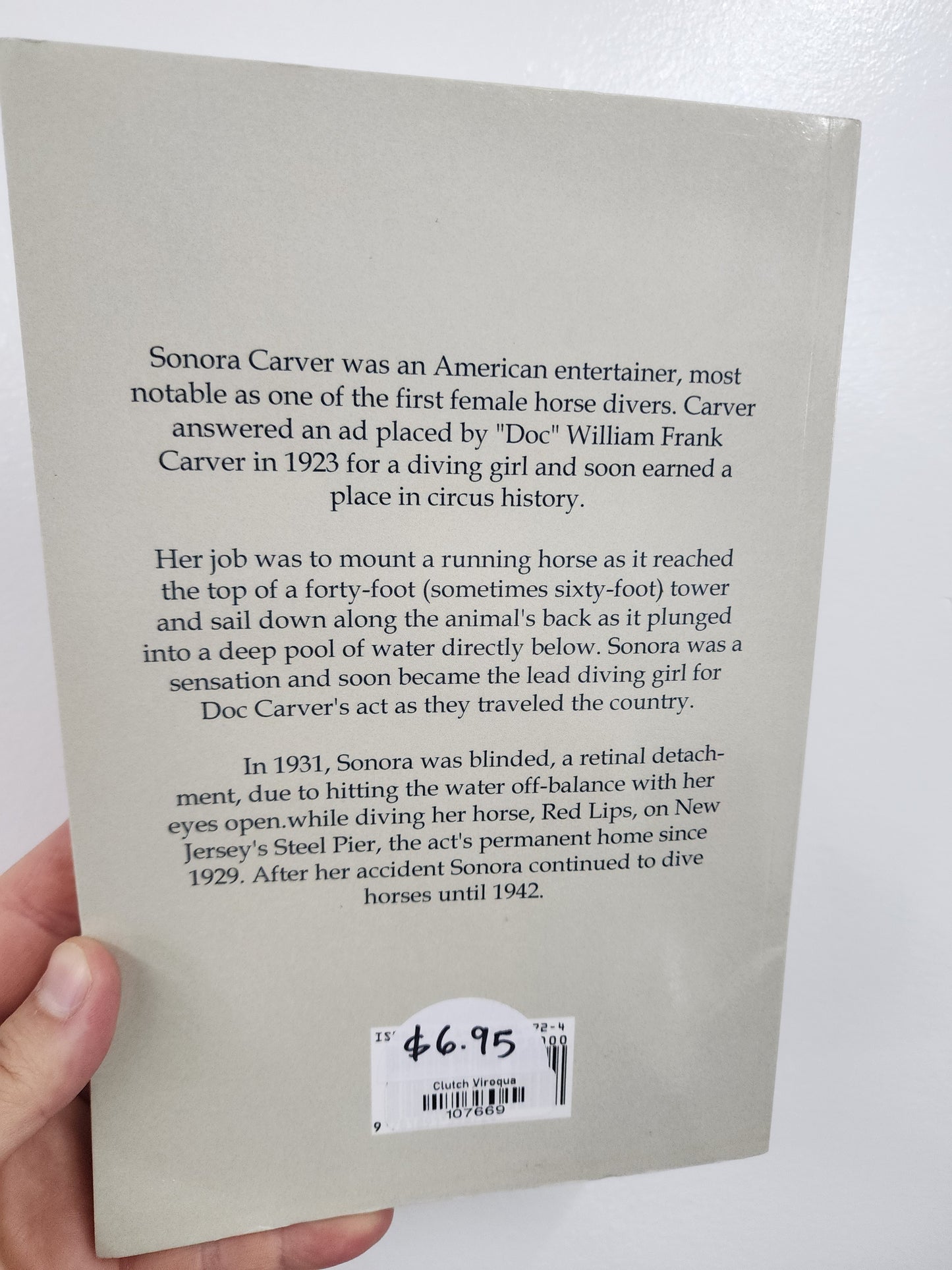 BOOK: A Girl and Five Brave Horses by Sonora Carver
