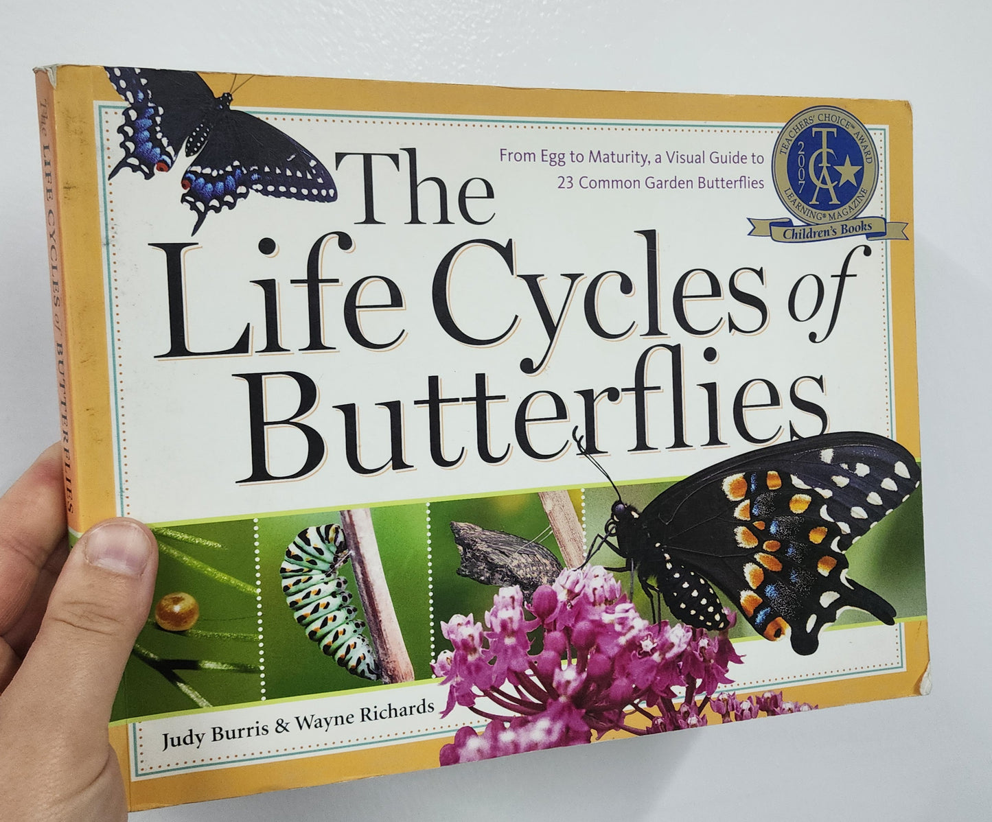 BOOK: The Life Cycles of Butterflies