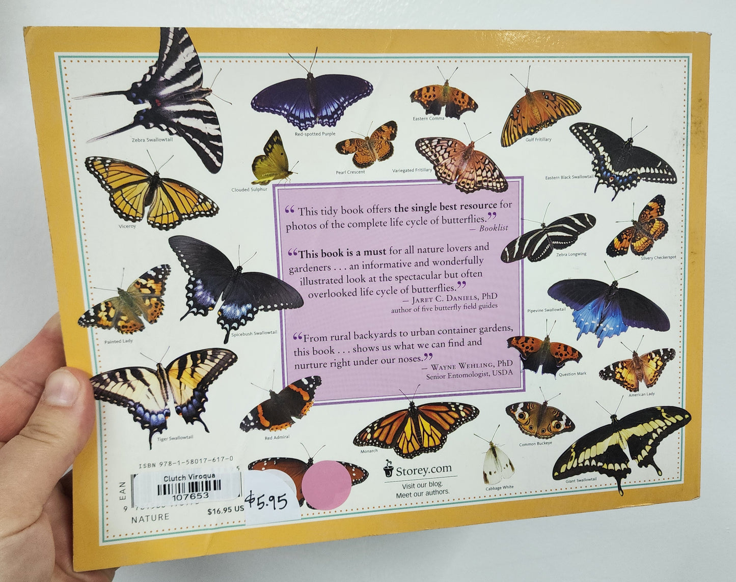 BOOK: The Life Cycles of Butterflies
