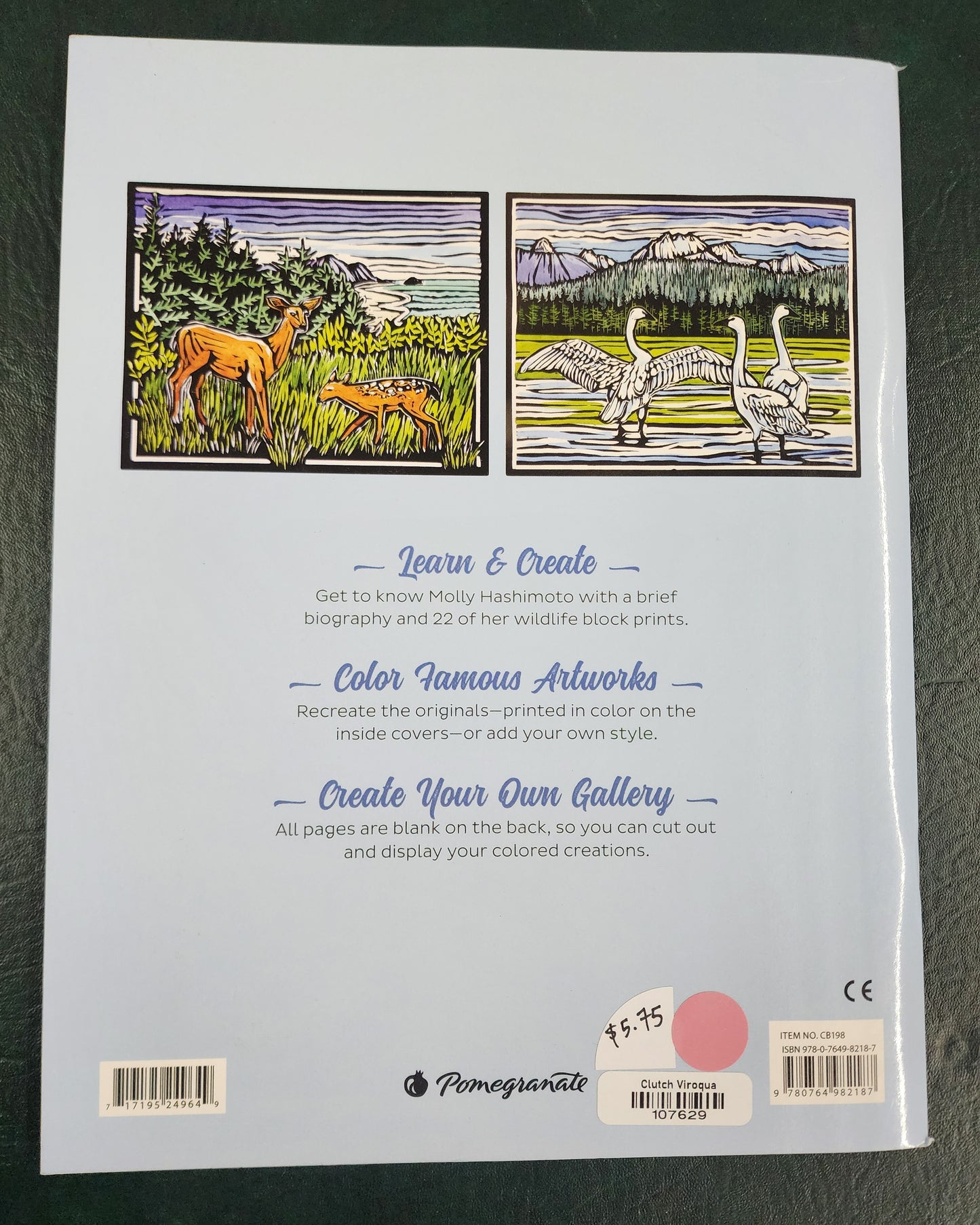 Coloring Book: Molly Hashimoto's Birds and Other Wildlife
