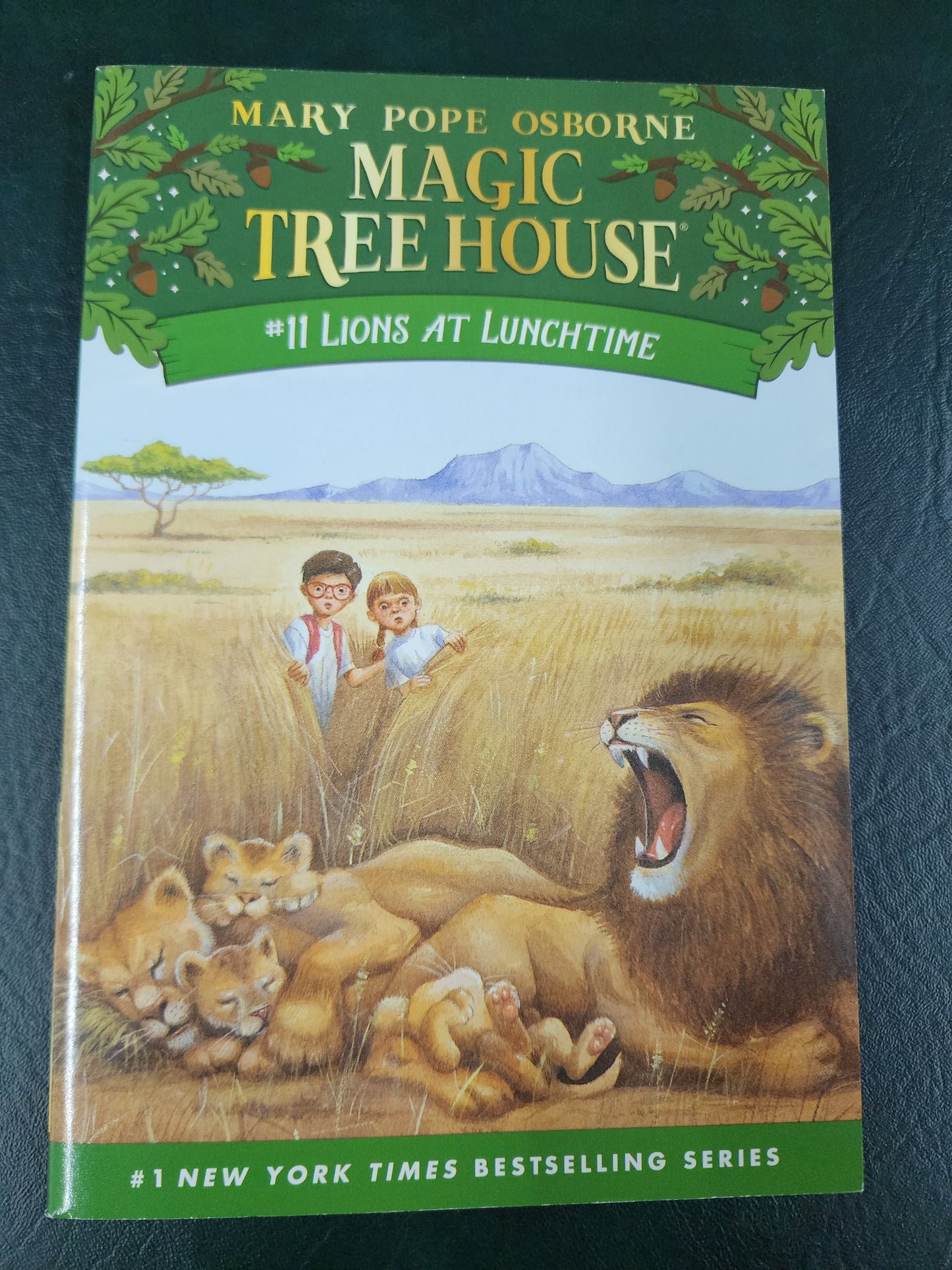 Magic Treehouse #11: Lions at Lunchtime