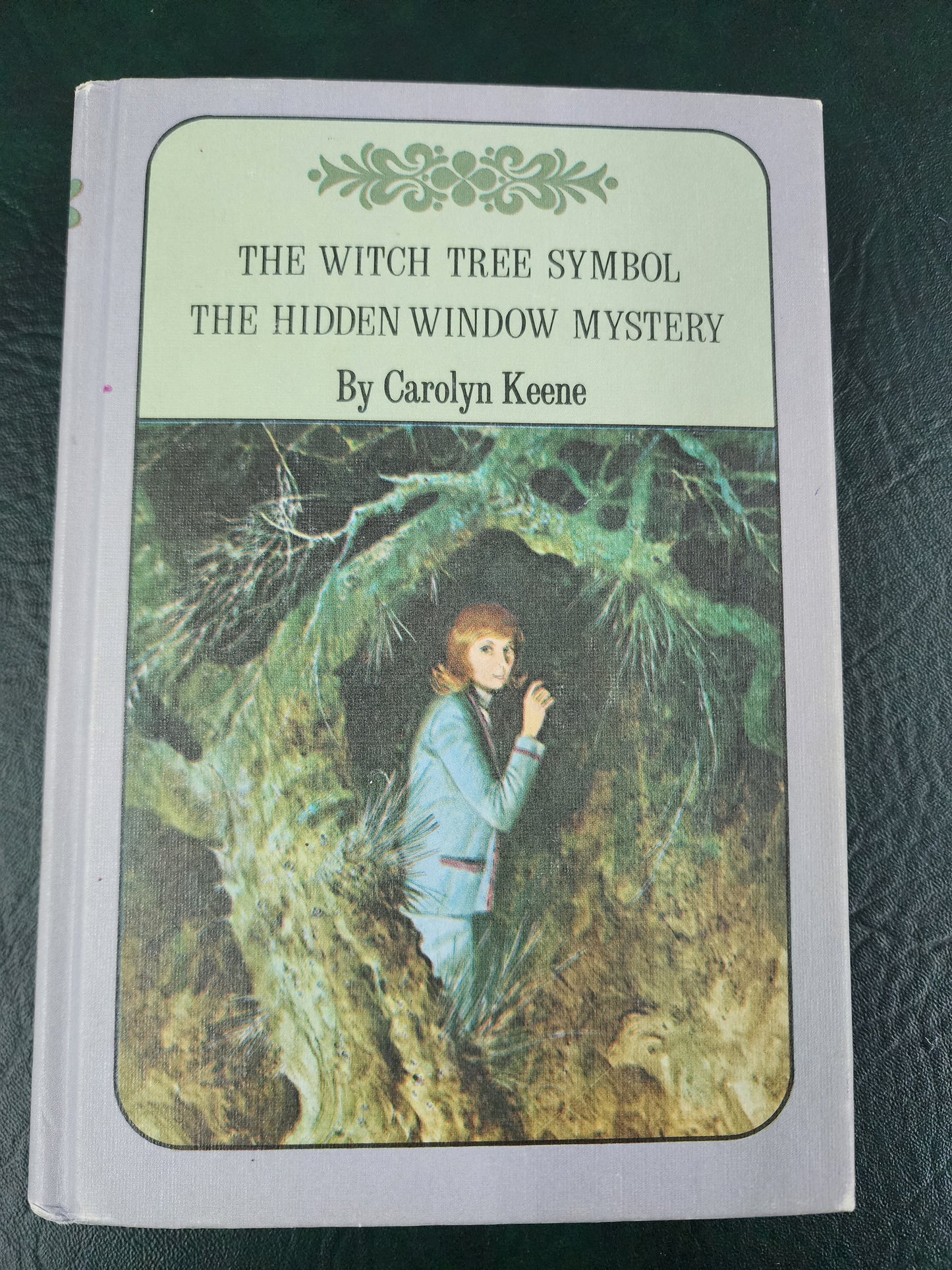 Nancy Drew: The Witch Tree Symbol, The Hidden Window Mystery