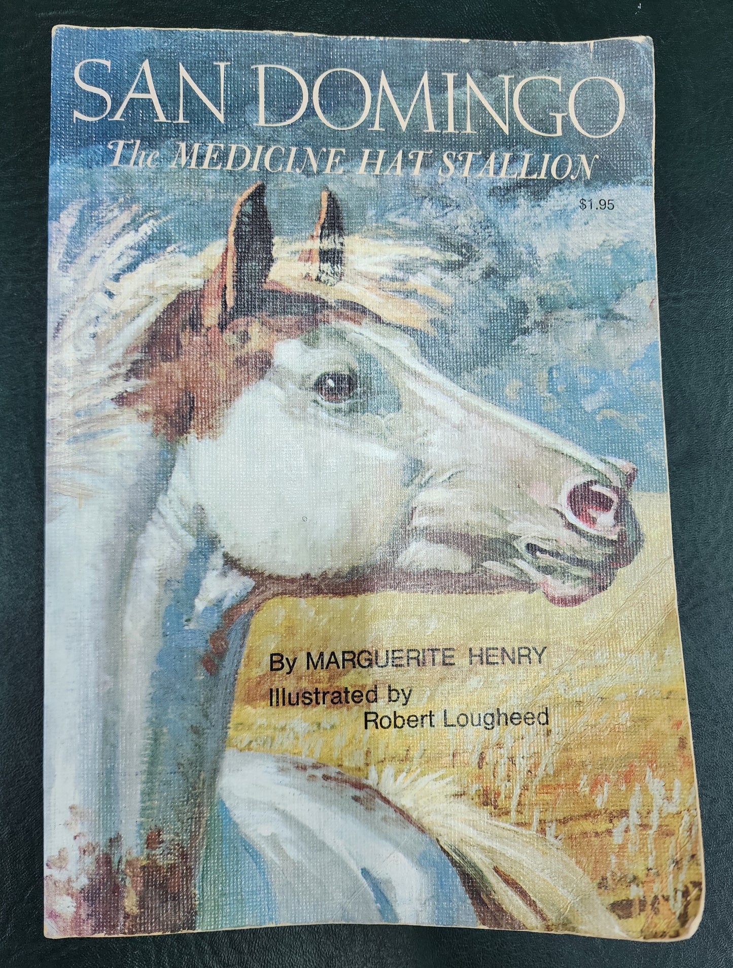 San Domingo, The Medicine Hat Stallion, by Marguerite Henry