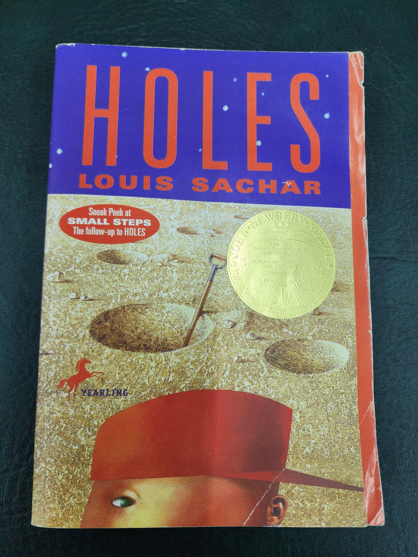 Holes, by Louis Sachar
