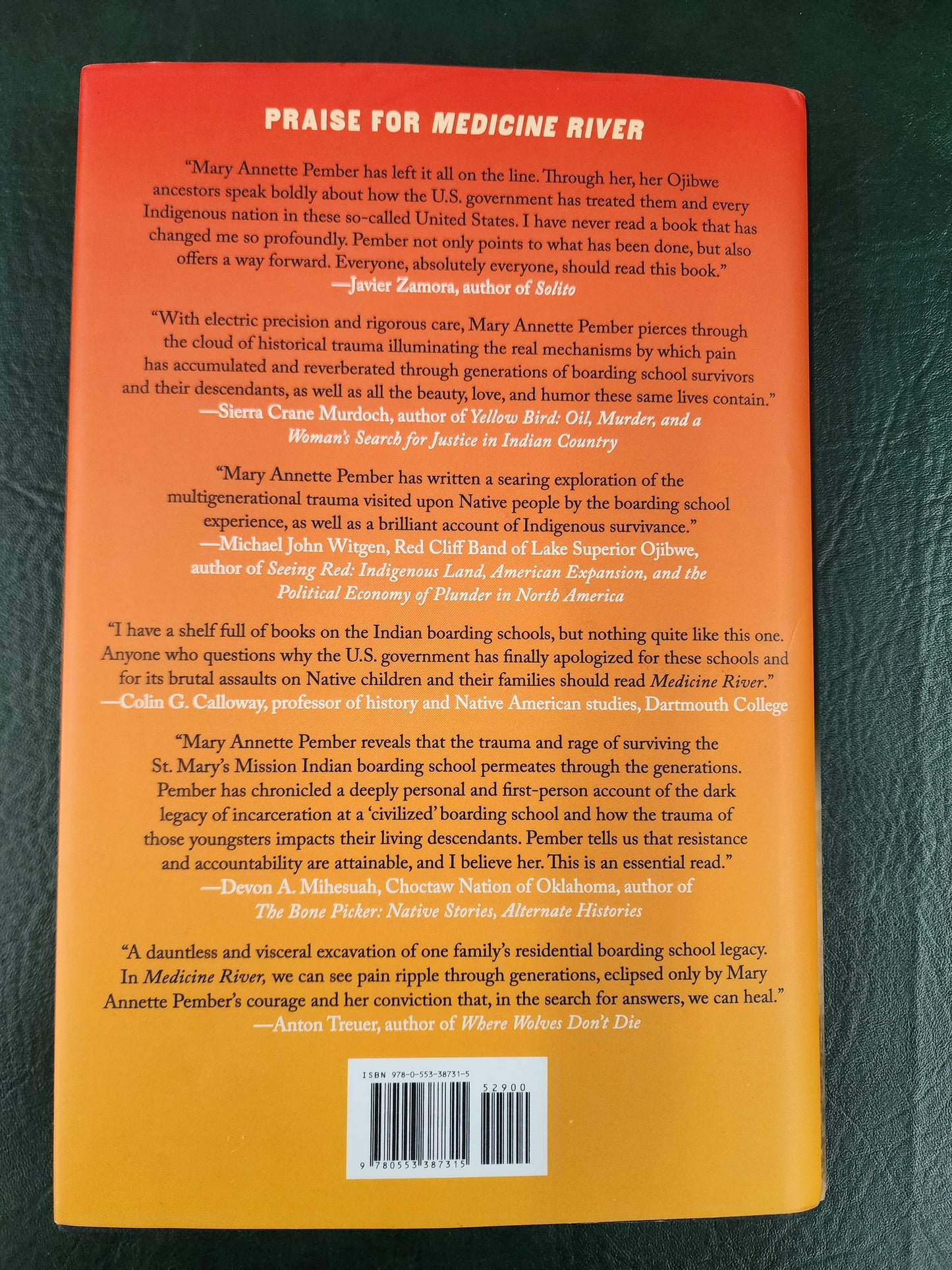 Medicine River by Mary Annette Pember