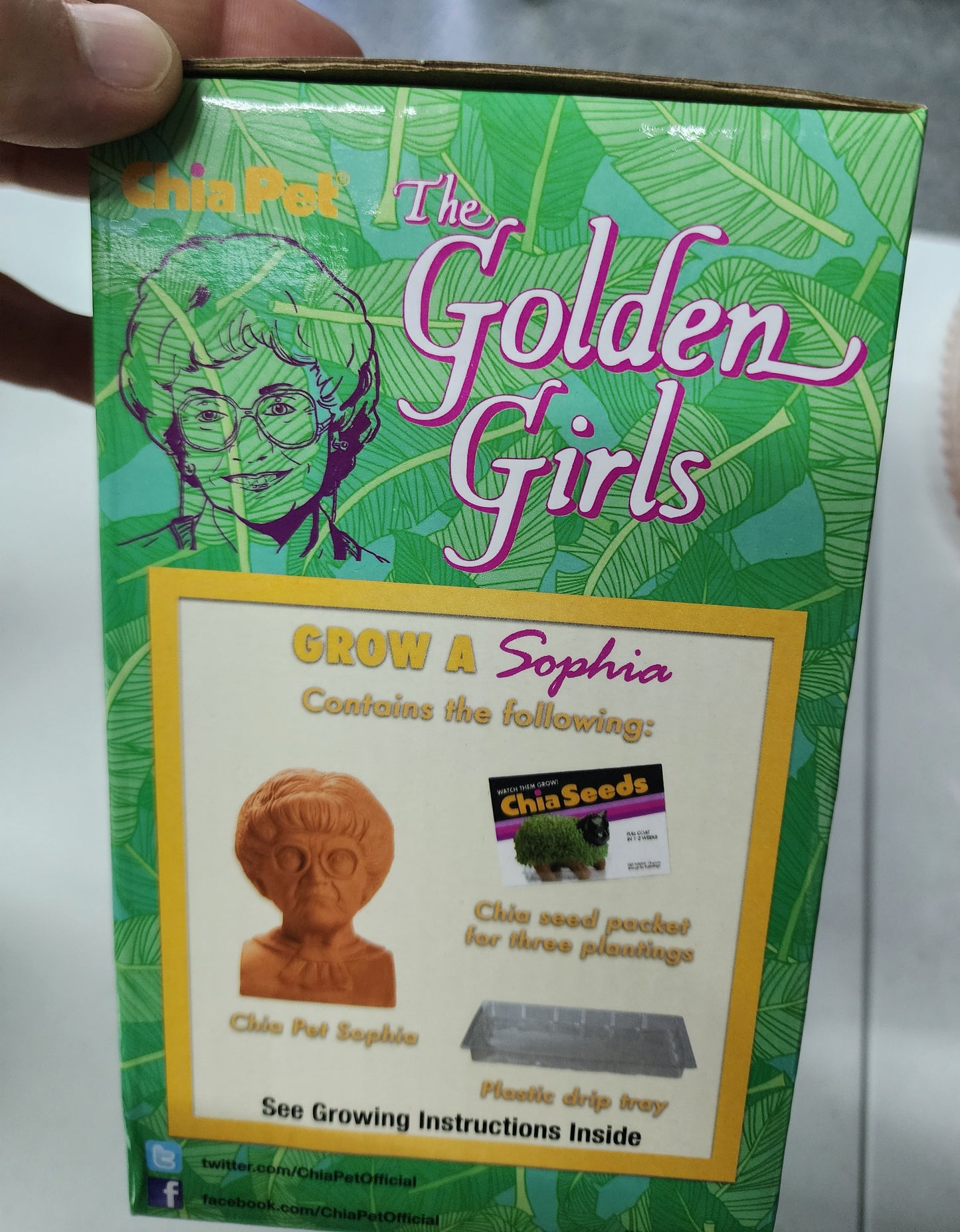 Golden Girls Chia Pet, Sophia