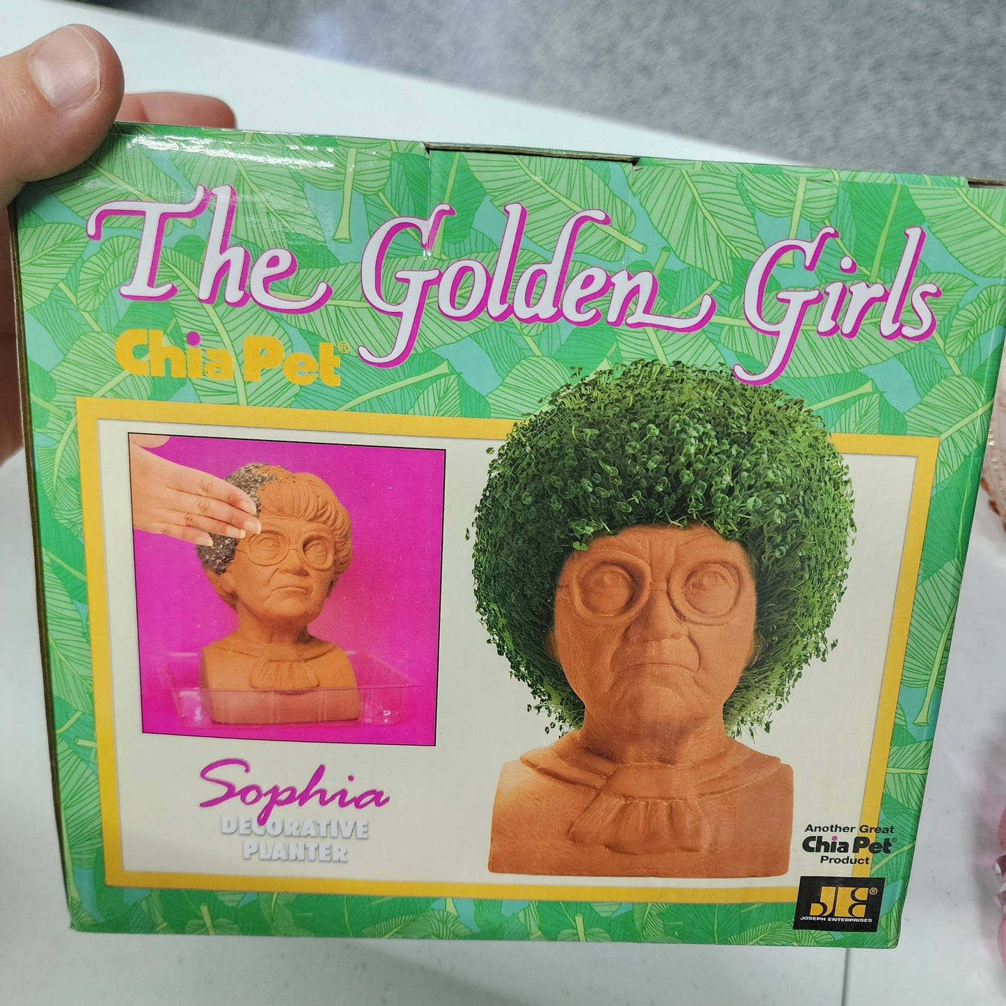 Golden Girls Chia Pet, Sophia