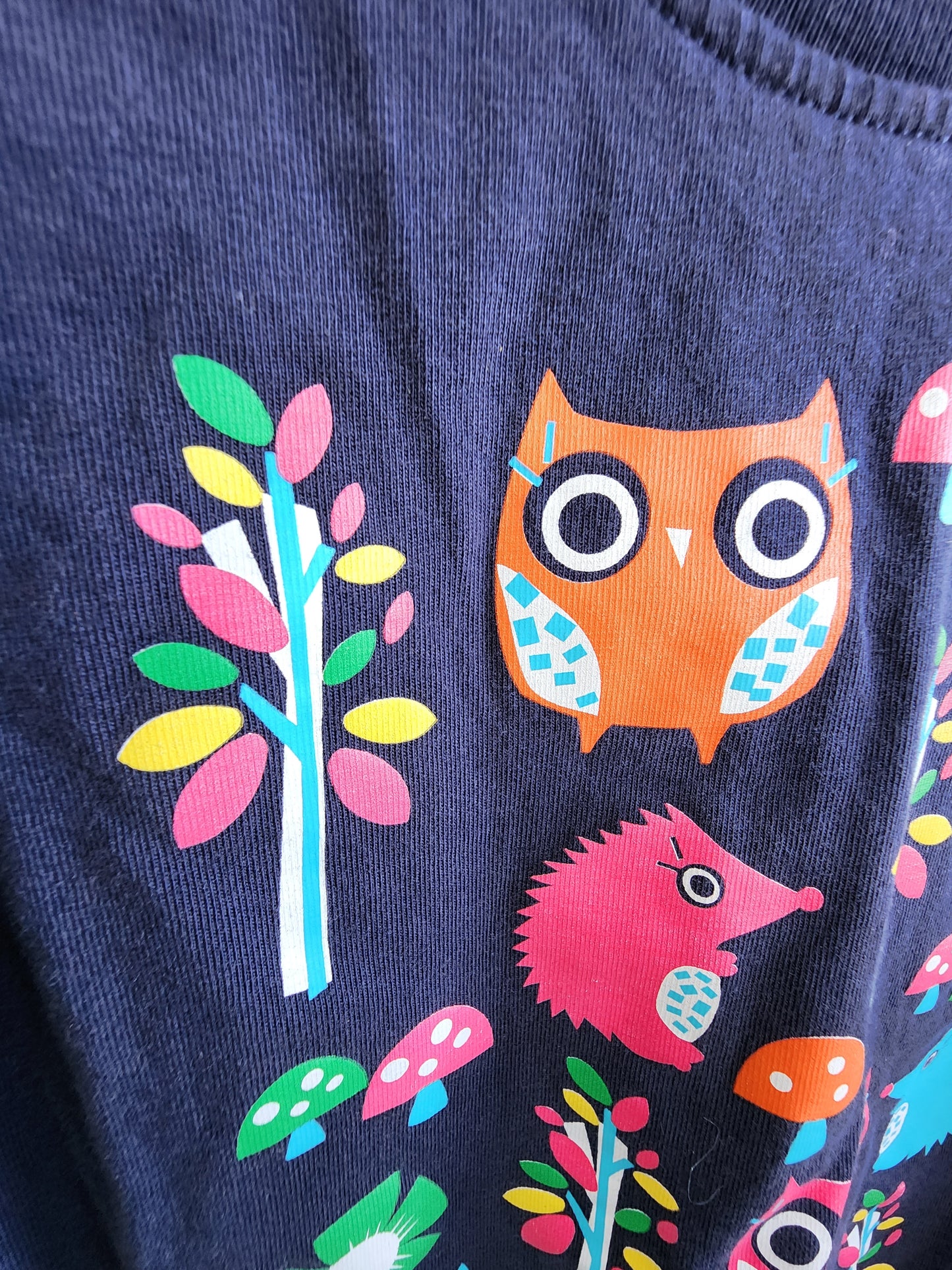 Hanna Andersson Woodland Animals Shirt, size 120